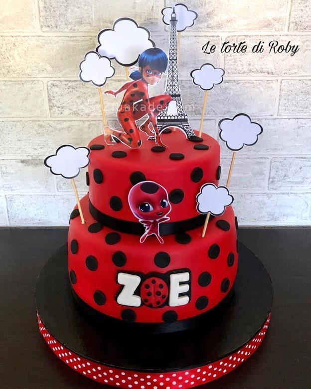 تم تولد لیدی باگ - Ladybug